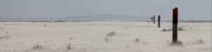 strandpalen aangepast2
